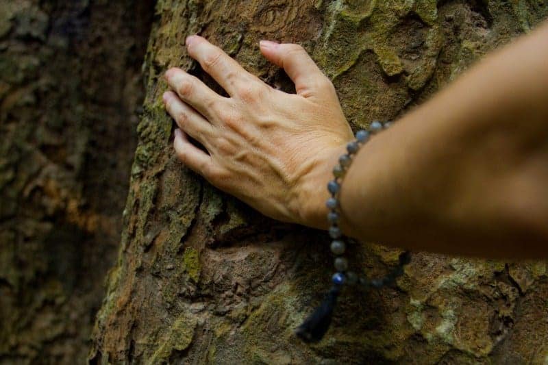 Reconnect with Nature | 5 Simple & Easy Ways to Return to the Loving Embrace of Mother Nature