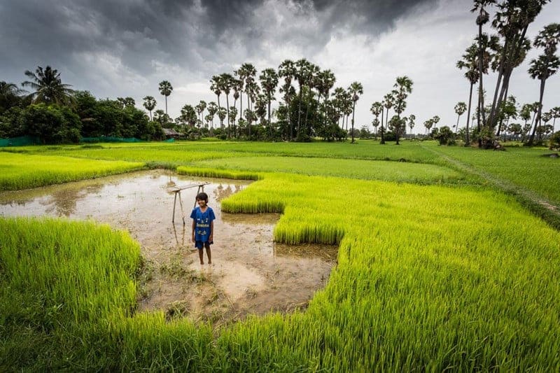 Cambodian Green Season - The Lush Cambodian Countryside